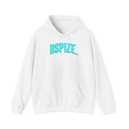 DCL Dspize DGIT Black/Teal Blue Hood